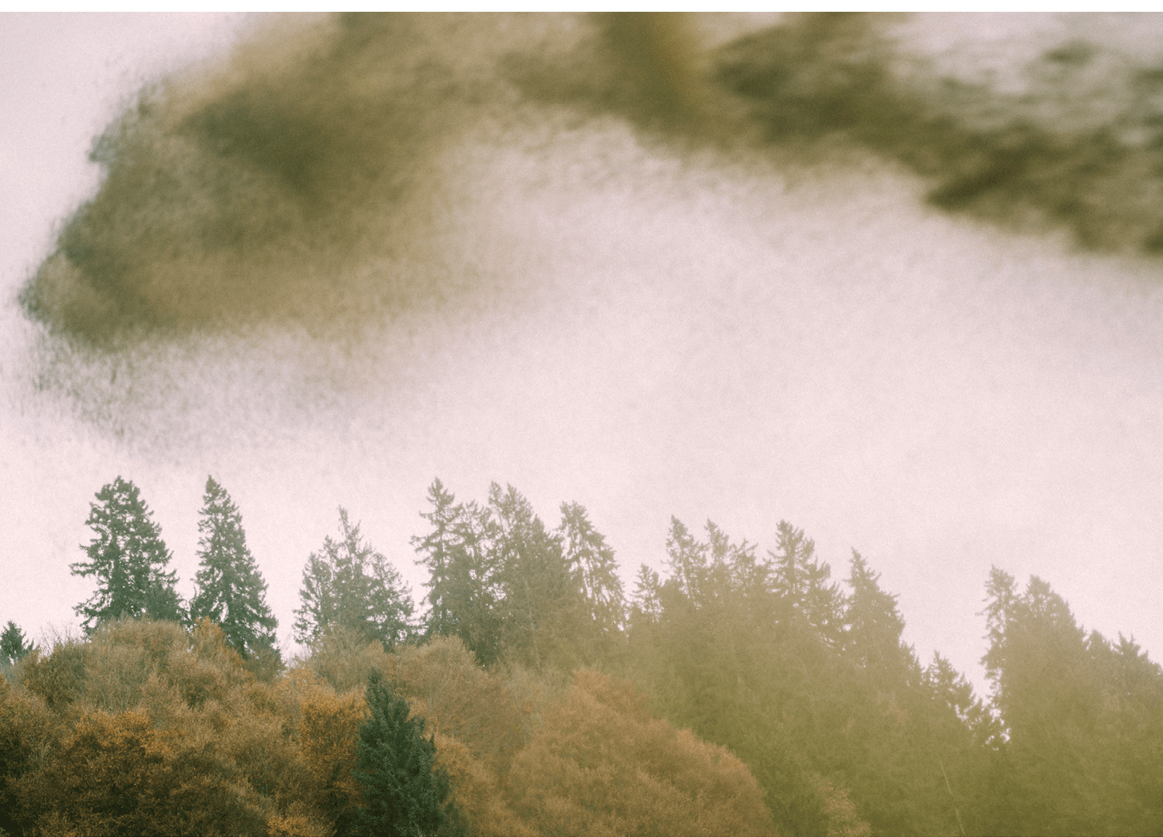 Reportage junge Menschen in der Landwirtschaft