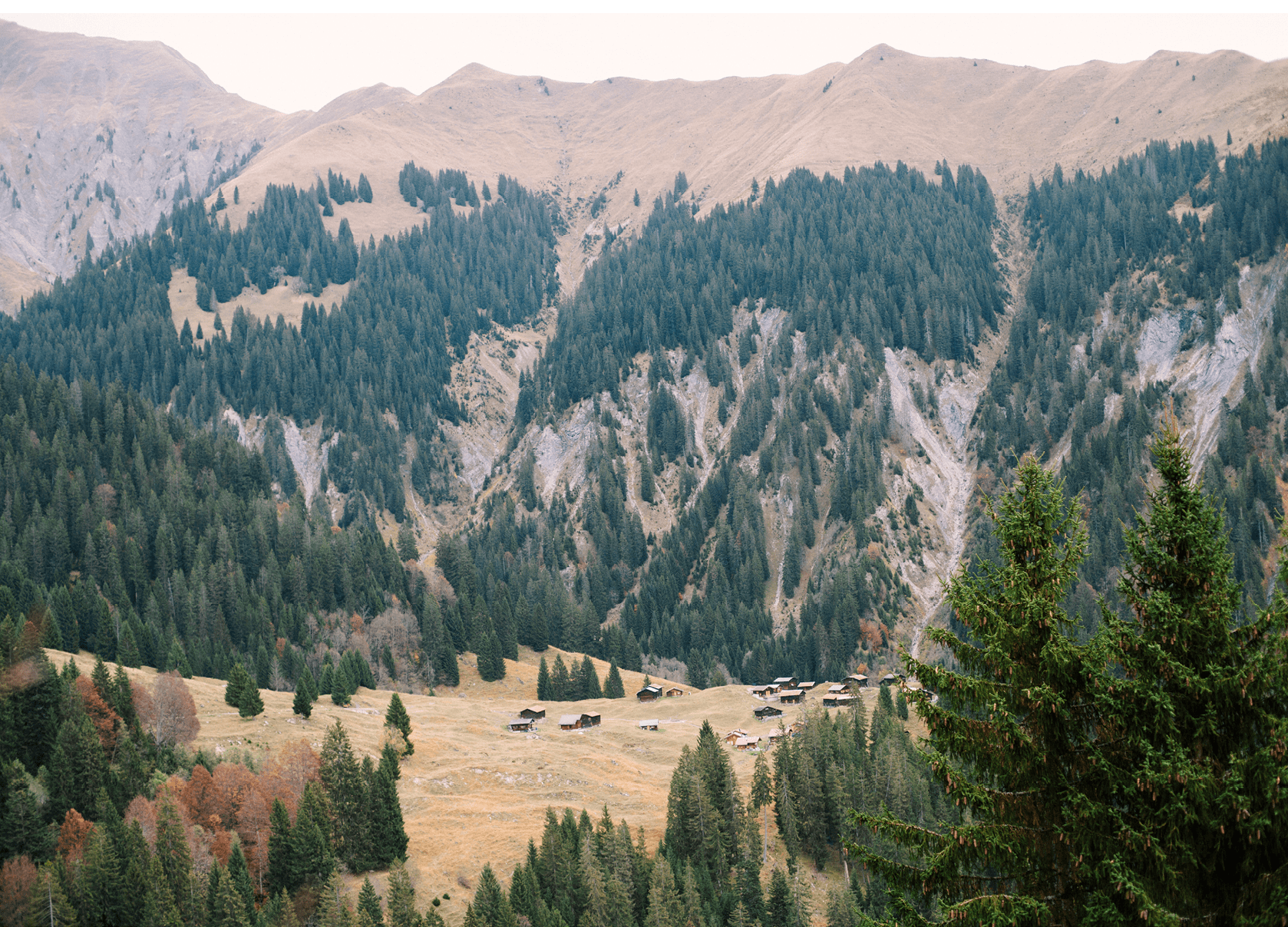 Reportage junge Menschen in der Landwirtschaft