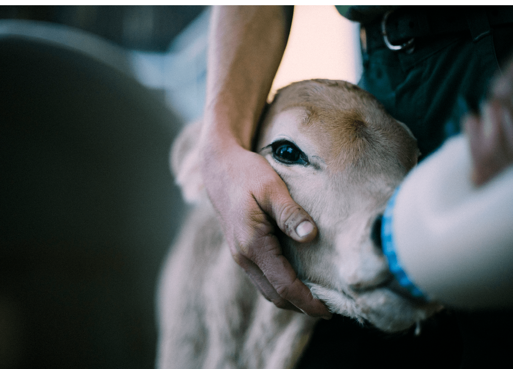 Reportage junge Menschen in der Landwirtschaft