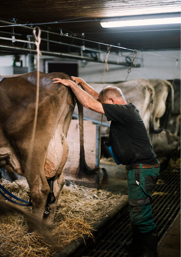 Reportage junge Menschen in der Landwirtschaft
